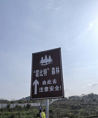 ���������ɭ��ͽ��������ļ���