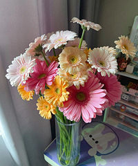 ���޾ռ�©39Ԫһ��֧