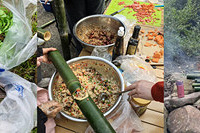 春天打野摘野菜合集,还有山野间制作竹筒饭