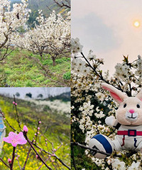 �ϰ���Ƭ���˻������һ�Ҳ����