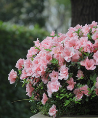 �������Ǽ������С�