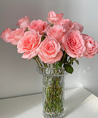 29����20֦������õ��