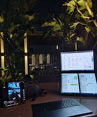 ҹɫСǣ°ķſʱ̣¥µӾر