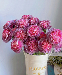 20֦Ұ������ܰ���֣���