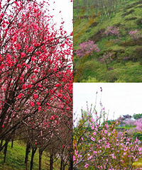 ��Ϫ���һ�Դ������������ͨҲ�ܷ���