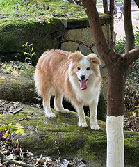 ����ȥ��ɽƺˣ�ؼ���̱��