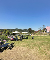 ��ɽ�������