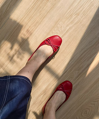 ƤСЬ㣬һ㶼ĥţһļܴ