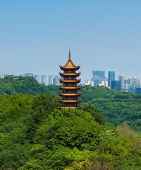 ��������������ǰ�������Ű�飬�������¥��