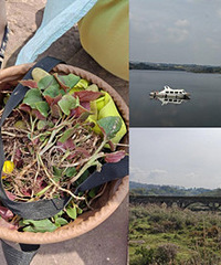 ȥ��������أ�ʵ���۶�����ާ������