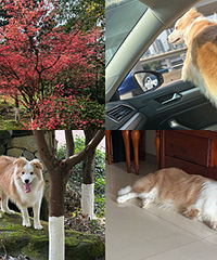 ����ȥ��ɽƺ��԰ˣ��һ�죬�ؼ���̱��