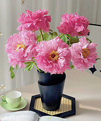 ˮ����ɫ���ĵ����������