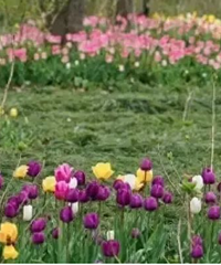 [�ȵ�]���ӹ�԰�ɻ����ο������������ҳ�������������Ҫ��Ū��