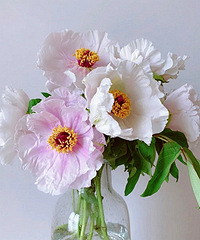 �ͻ�ĵ�����ˣ�29Ԫʮ֧