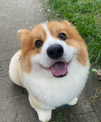 �ˣ�����Լ�����ֵ�ñ���