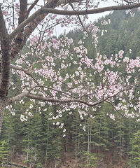 ÿһƬˮÿһٲĺ˵Ȼ