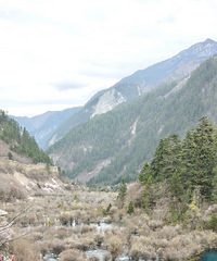 �����ÿһƬ��ˮ��ÿһ���ٲ��ĺ�����������˵����Ȼ����������