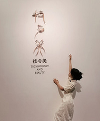 90160CM2ֻèС飬ϣԷ31~41