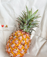 ĺϷڸк𰡣ʺȷʵһ