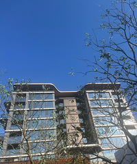 ��ï�𿪴����Ŀ��Ʒ���ǲ�����