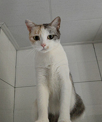 ����è����������������