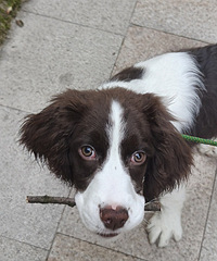 �����Զ���������������~