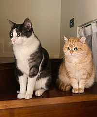 �����������������Ǿ�����