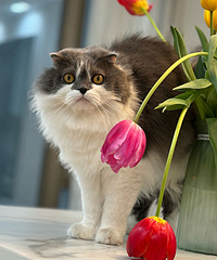 è�ڼ�û���ţ��ž�Ȼ���