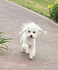 ҽ������������������ܲ�