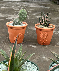 ����������ֵ����һ������