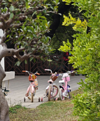 ���Ͼ���������ˣ���������ͨ�˵������