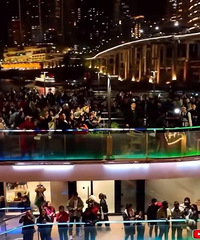 �׿������й����������