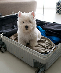 ˵Ҫ��ȥˣ�������һ�����