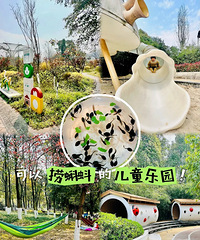 超宝藏的免费遛娃地,捞蝌蚪、搭帐篷、儿童乐园
