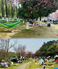 [����]���ǳ����ص�������޵أ�����򽡢�����񡢶�ͯ��԰���