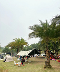 [����]�������޹�԰��ˢ����¶Ӫ��ץ��򽡢��Ұ�ˣ�