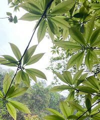 �������������ɫ���̣����£����