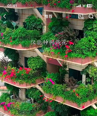 �Ĵ����Ĵ����Ĵ���������