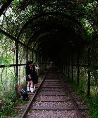 ����С��·-�������嵽�׹���