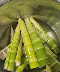 �����ζ��