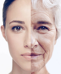 ҾԼѾ˥ϵʲôܶ˶˵Ƿ