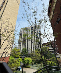 ˭˵�����������Ͽ�������ԭ��Ҳ��yyds�����̺���½����õ�