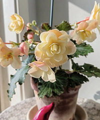 �ʻ����С�Ũ����Һ�����