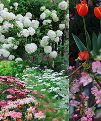 ��������ļ��ڵ��ˣ�СԺֲ�￪����