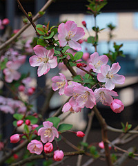 ����Ĵ�˿����Ҳ̫���˰�