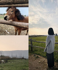 �����������Լ��Ĵ��ԭ�����վ���