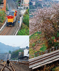 ȥ�뽭��ˮ���𳵣������׷�Ҳ���ó�