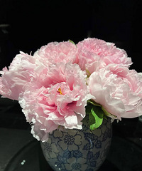 ѩӳ�һ� ĵ����������ʮ��