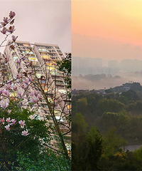 ��ס���ƺ���Э���콾�ǣ���ɫ����̨��Ұ̫����