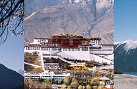 重生之我在西藏当地陪